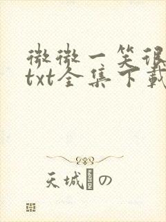 微微一笑很倾城txt全集下载