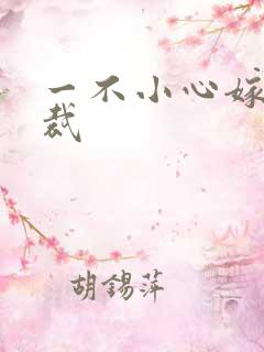 一不小心嫁给总裁