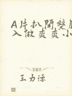 A片扒开双腿进入做爽爽小说