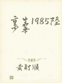 重生1985陆少华