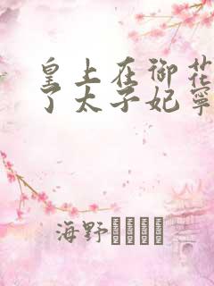 皇上在御花园C了太子妃宁儿