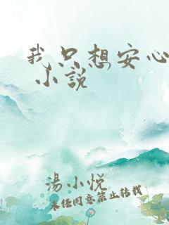 我只想安心修仙 小说