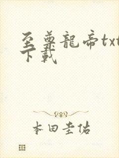 至尊龙帝txt下载