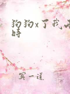 狗狗x了我两小时