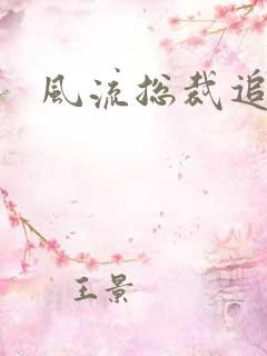 风流总裁追妻记