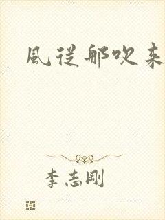 风从那吹来小说