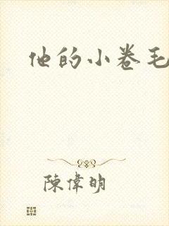 他的小卷毛