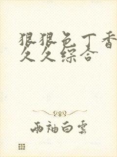 狠狠色丁香婷婷久久综合