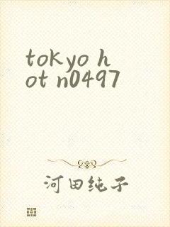 tokyo hot n0497