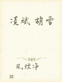 凌斌 胡雪