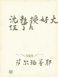 沈教授好大含不住了h