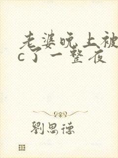 老婆晚上被躁狂c了一整夜