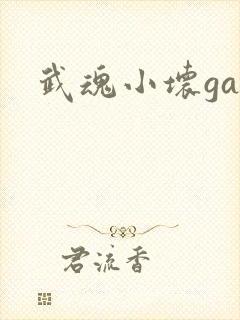 武魂小坏ga