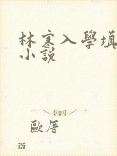 林寒入学填未婚小说