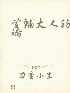 首辅大人的掌心娇