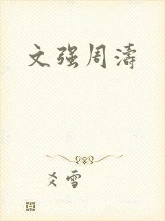 文强周涛