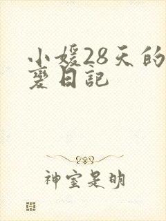 小媛28天的剧变日记