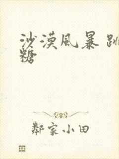 沙漠风暴 跳跳糖