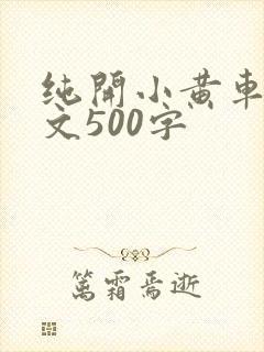 纯开小黄车小短文500字