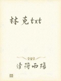 林克txt