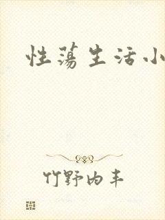 性荡生活小说