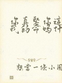 你真紧你这是要我的命吗什么意思