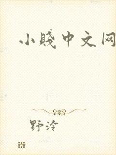 小贱中文网