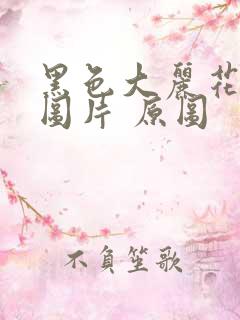 黑色大丽花真实图片 原图