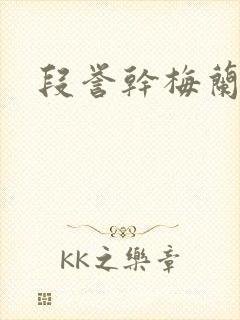 段誉干梅兰竹菊