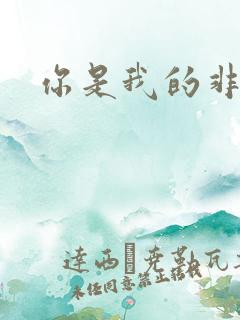 你是我的非卖品