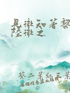 见微知著黎见卿陆微之