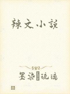 辣文小说