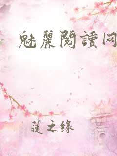 魅丽阅读网
