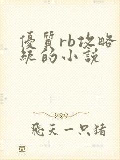 优质rb攻略系统的小说