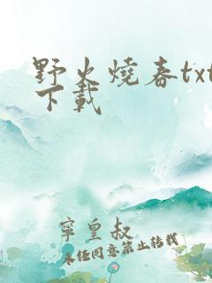 野火烧春txt下载