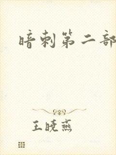 暗刺第二部
