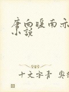 唐向暖南亦琛的小说