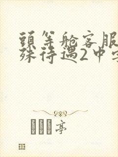 头等舱客服的特殊待遇2中字