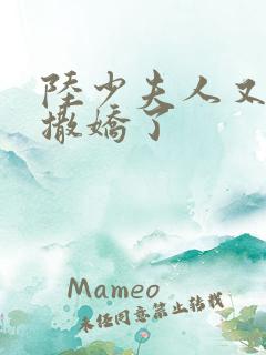 陆少夫人又双叒撒娇了