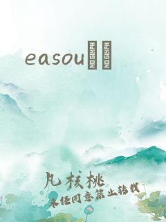 easouС˵