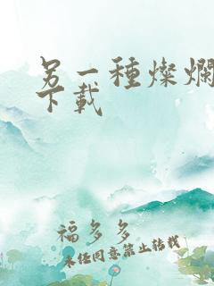 另一种灿烂生活下载