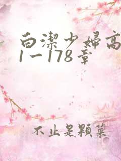 白洁少妇高义第1一178章