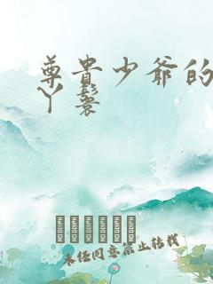 尊贵少爷的大牌丫鬟