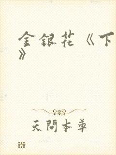 金银花《下厨房》