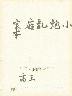 家庭乱炮小说全本