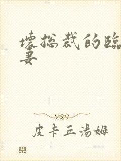 坏总裁的临时娇妻