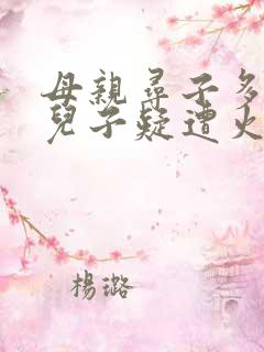 母亲寻子多年 儿子疑遭火车撞击身亡