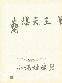 火爆天王 笔趣阁