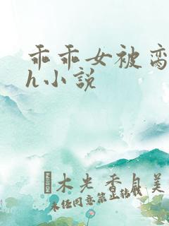 乖乖女被脔日常h小说