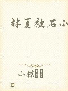 林夏被石小猛
